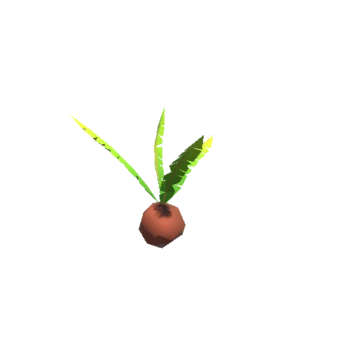 Coconut_Plant