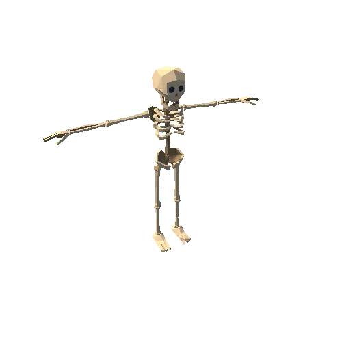 Skeleton