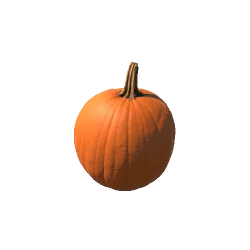 Pumpkin3