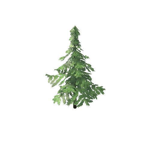 SM_Tree_01_A