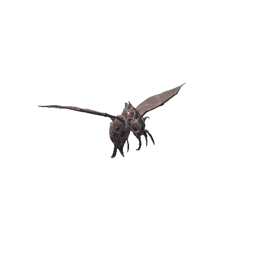 SK_Insect_skin4