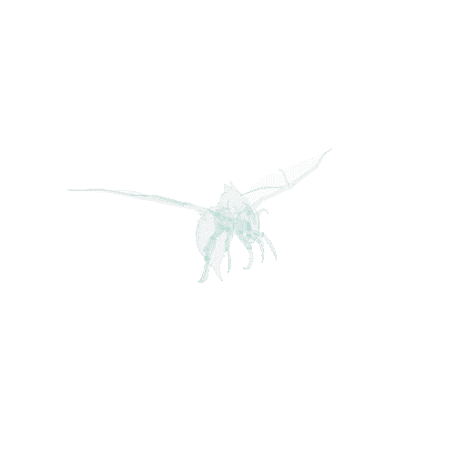 SK_Insect_skin5