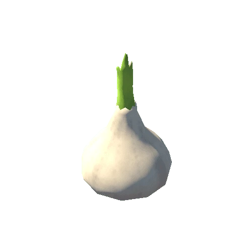 Garlic