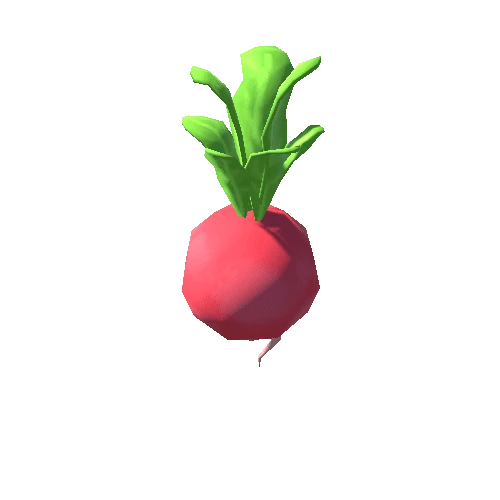 Radish