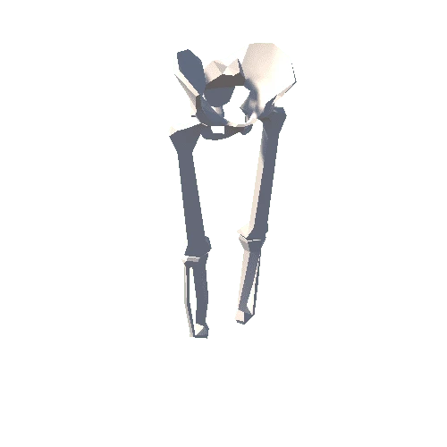 PT_Medieval_Male_Armor_Skeleton_01_legs