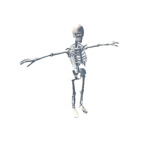 PT_Medieval_Male_NPC_Skeleton_01