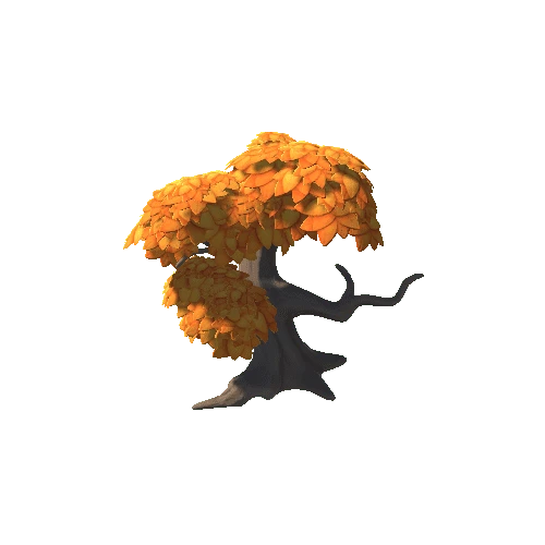 Oak_Tree_d