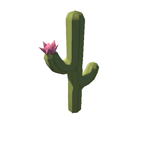 m_Cactus02