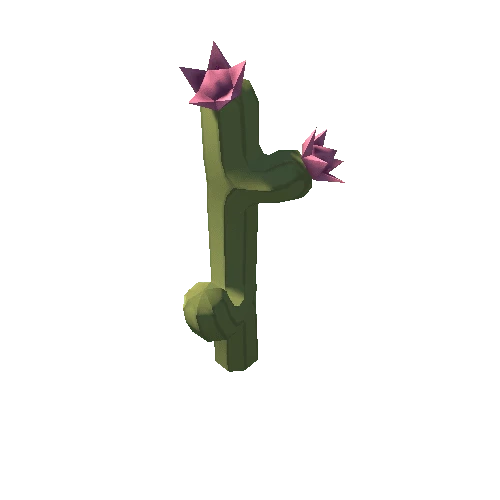 m_Cactus05