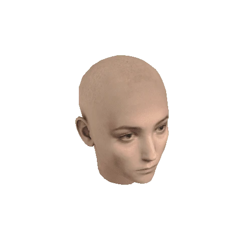 Head_W17