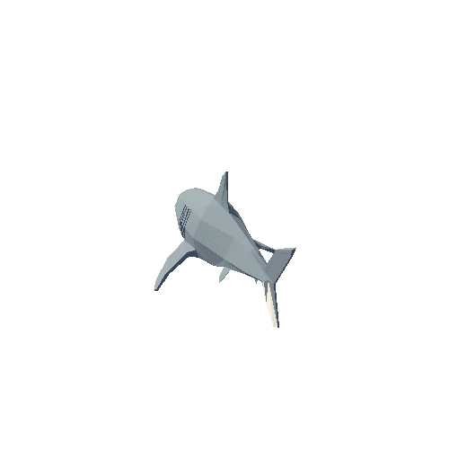 RW_LP_OP_Animal_SharkMegalodon