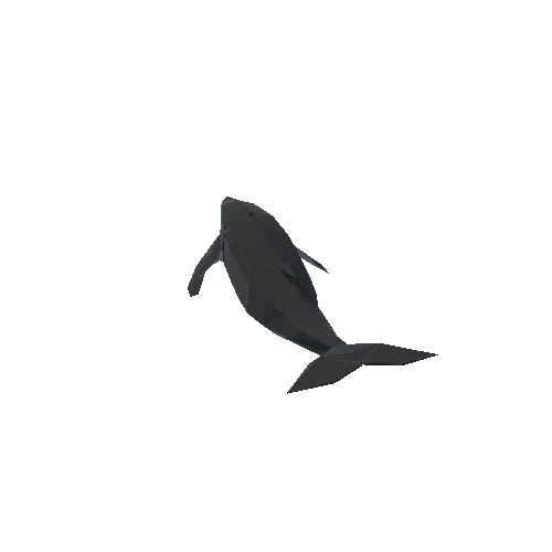 RW_LP_OP_Animal_WhaleHumpback