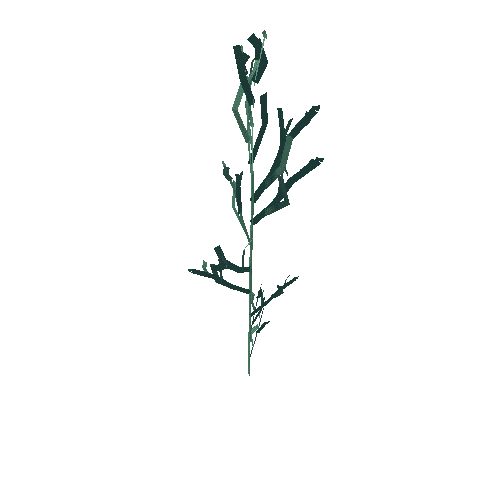 RW_LP_OP_Environment_Kelp.001