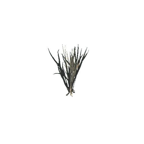 Grass_03_03