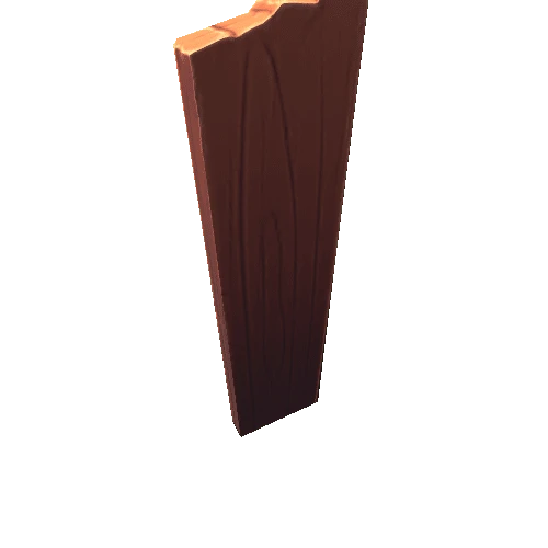 Plank04