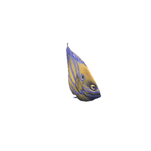 Small_Fish_02