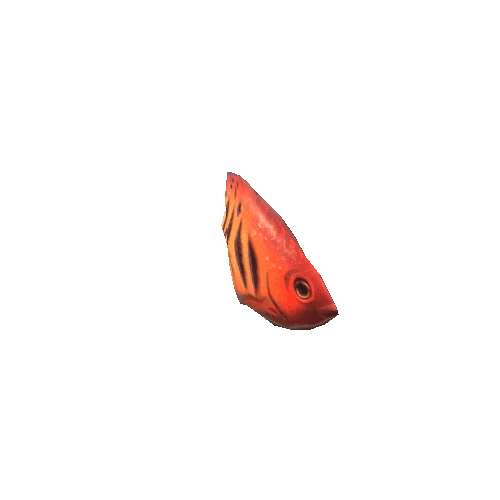 Small_Fish_04