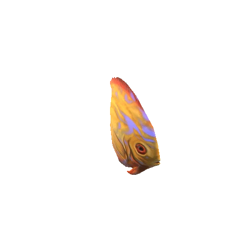Small_Fish_07
