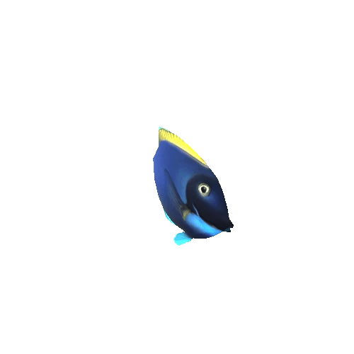 Small_Fish_10