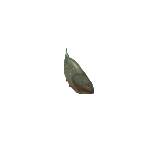 Small_Fish_16