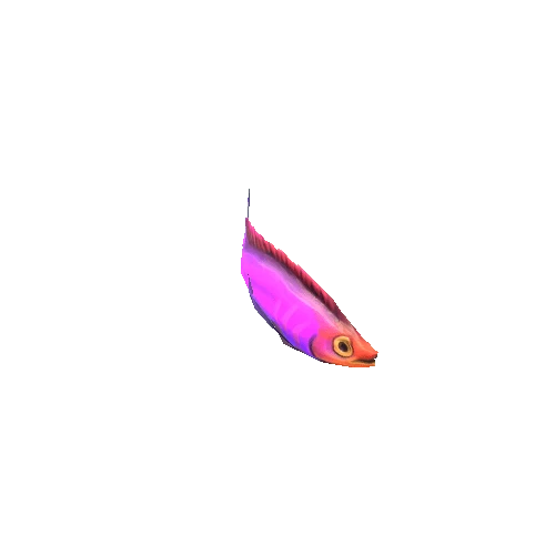 Small_Fish_22