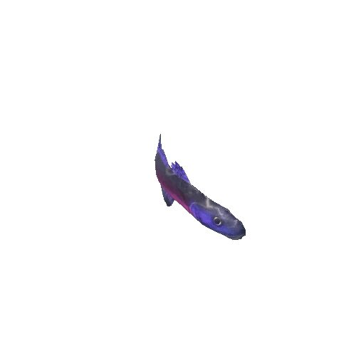 Small_Fish_25