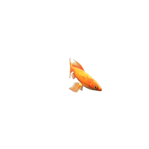 Small_Fish_27