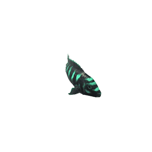 Small_Fish_29