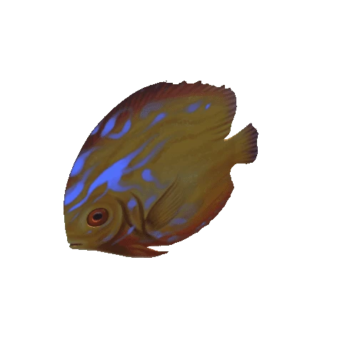 Small_Fish_Plane_07