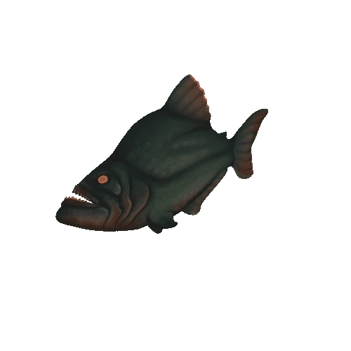 Small_Fish_Plane_15