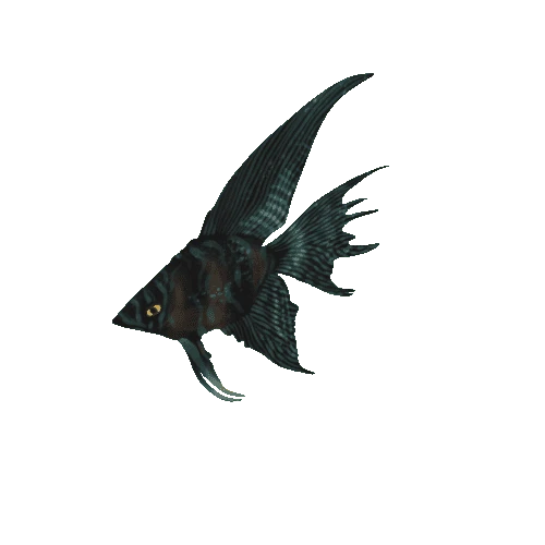 Small_Fish_Plane_18