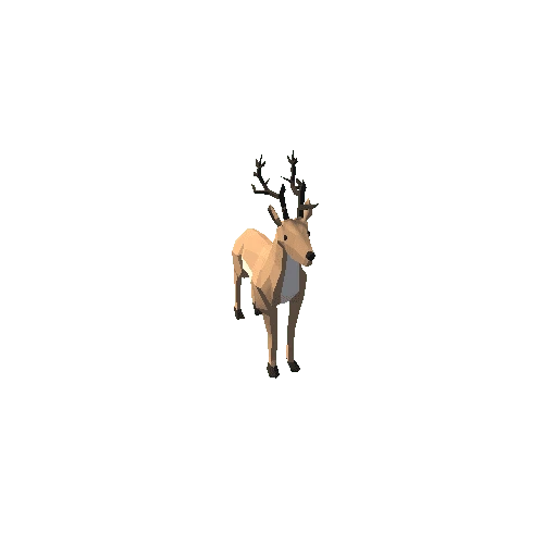 Deer.006