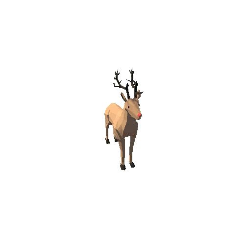 Deer