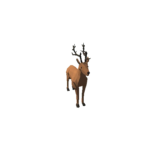 Deer5