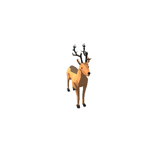 Deer8