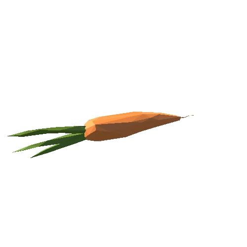 Carrot