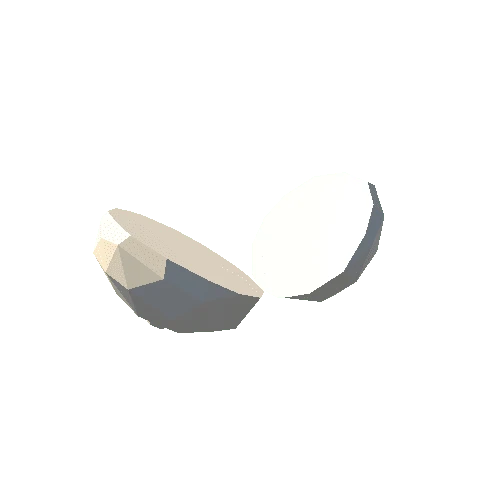 Onion_White_Sliced