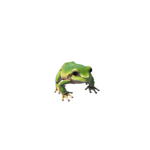 CC_PBR_Frog