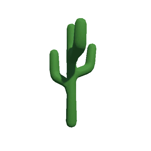 Pref_Cactus_02