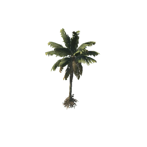 TREE_02