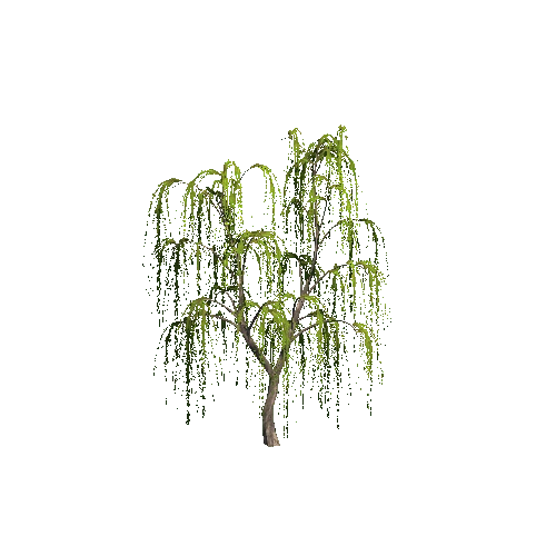 WillowTree01