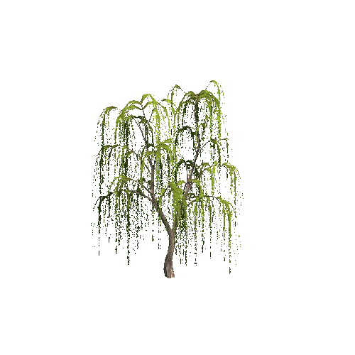 WillowTree02