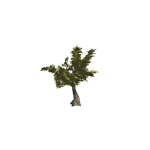 tree_2_1