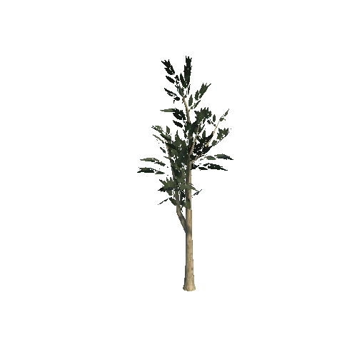 tree_5_1