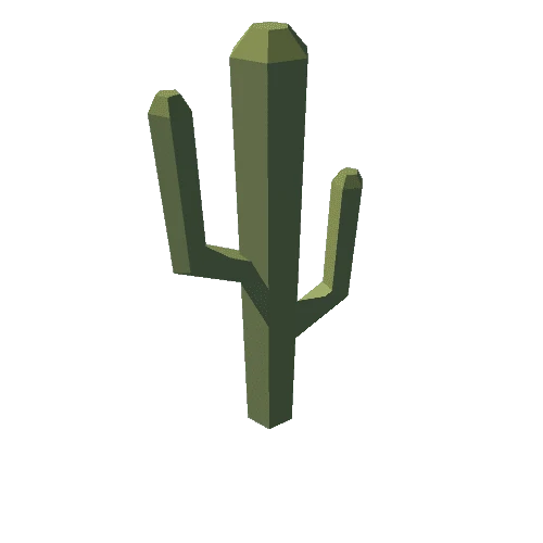 tarbo_Env_Canyon_Cactus_C