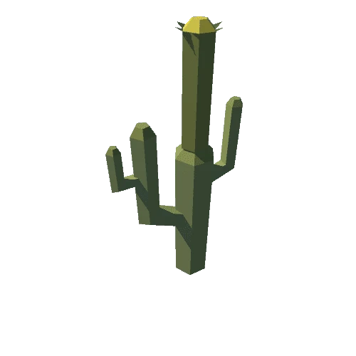 tarbo_Env_Canyon_Cactus_D