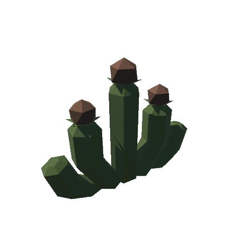 tarbo_Env_Desert_Cactus_E