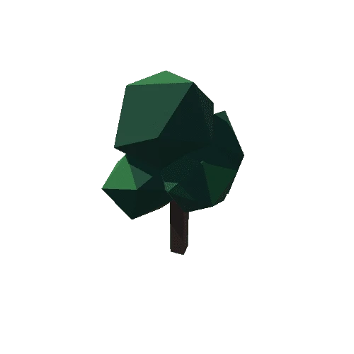 tarbo_Env_Forest_Tree_D