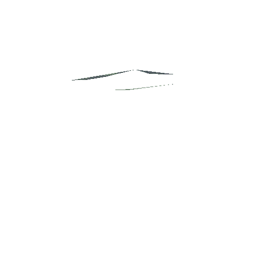 Hydrocotyle-Umbellata-2-A