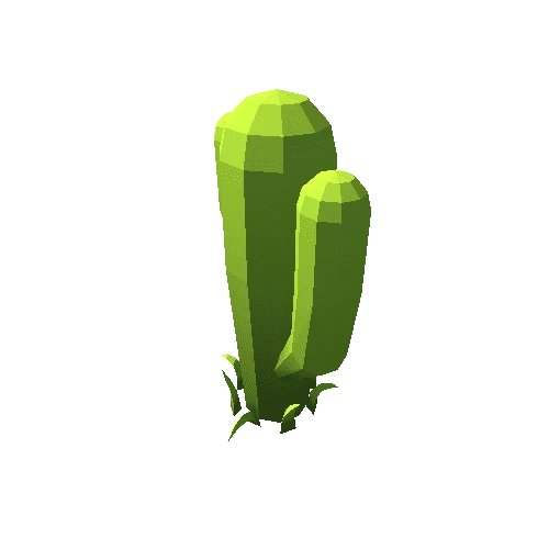 Cactus01